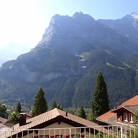 Sleeps 6 Wifi Daire Grindelwald